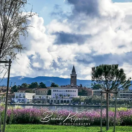 Appartamento Apartma Libris *