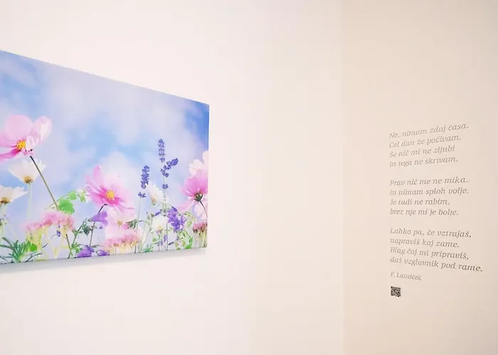 Apartma Libris 科佩尔