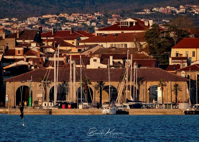 公寓 Apartma Libris